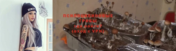 ECSTASY Кодинск