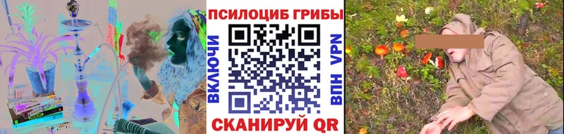 Купить закладки  Адыгейск  Галлюциногенные грибы MAGIC MUSHROOMS 